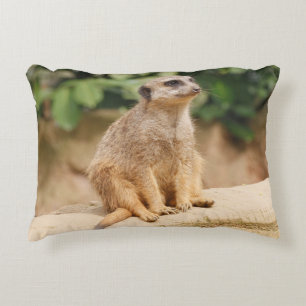 Cojín Decorativo Meerkat 010