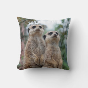 Cojín Decorativo Meerkat 013