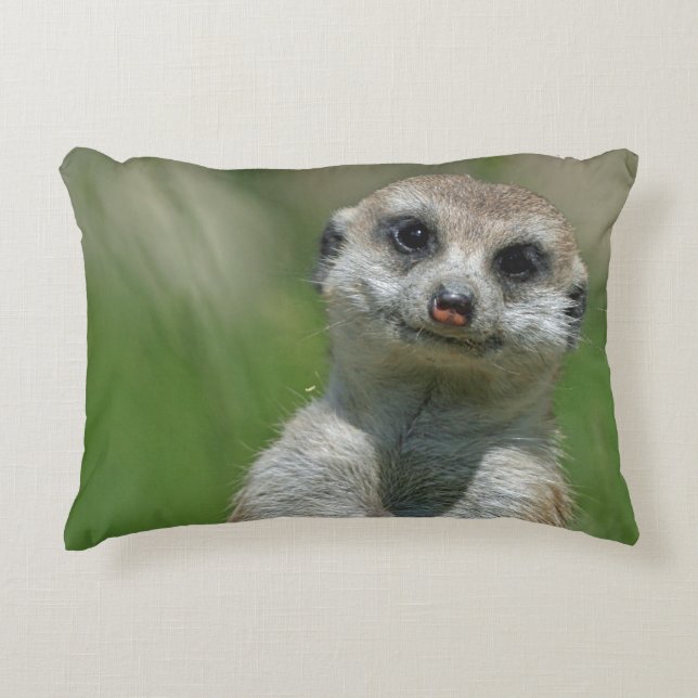 Cojín Decorativo Meerkat 013 (Anverso)