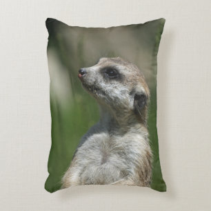 Cojín Decorativo Meerkat 015