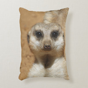 Cojín Decorativo Meerkat 016