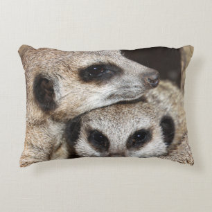 Cojín Decorativo Meerkat 019