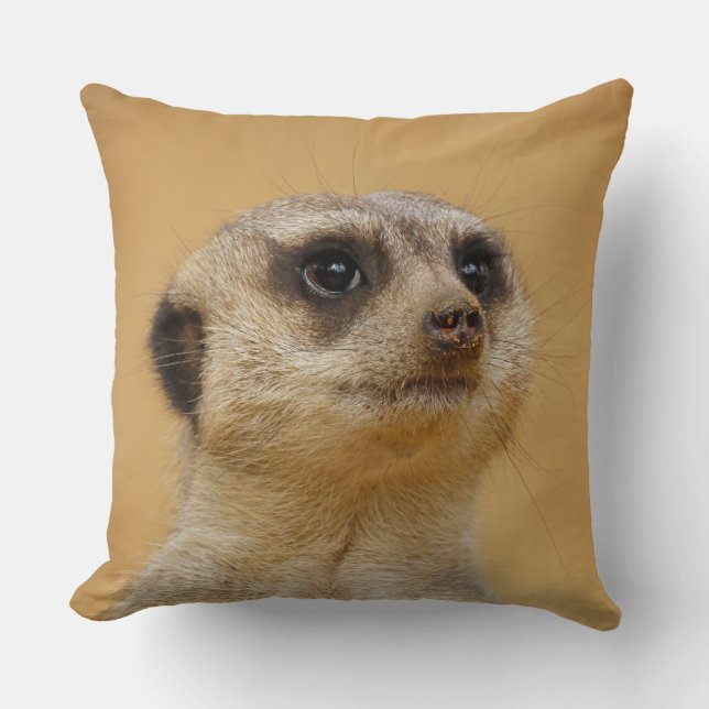 Cojín Decorativo Meerkat 020 (Anverso)