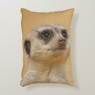 Cojín Decorativo Meerkat 020