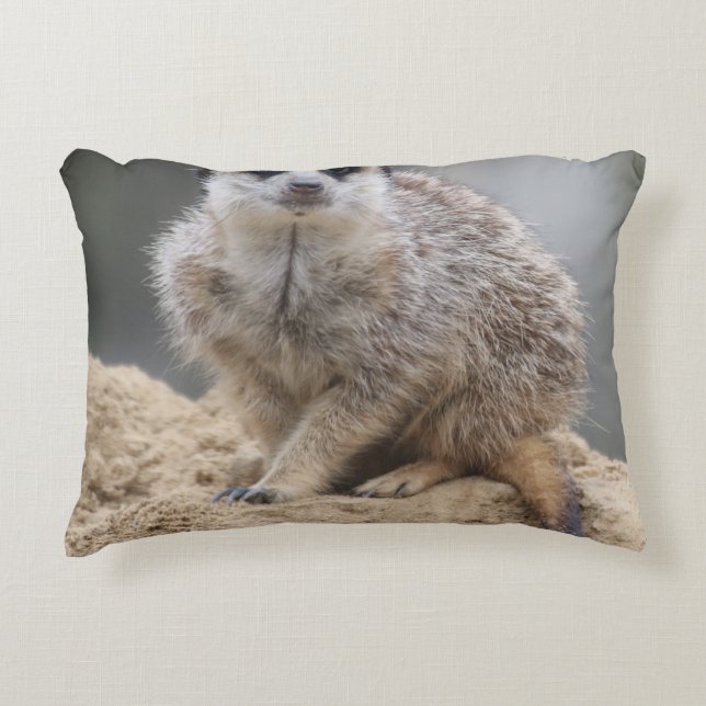 Cojín Decorativo Meerkat 021 (Anverso)