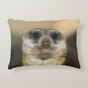 Cojín Decorativo Meerkat 023