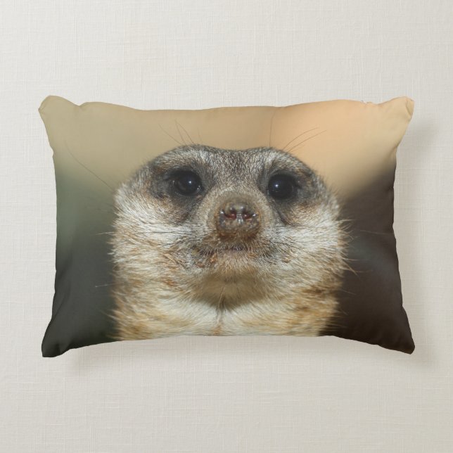Cojín Decorativo Meerkat 023 (Anverso)