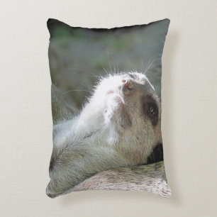 Cojín Decorativo Meerkat 024