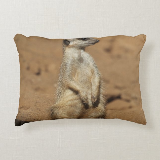 Cojín Decorativo Meerkat 027 (Anverso)