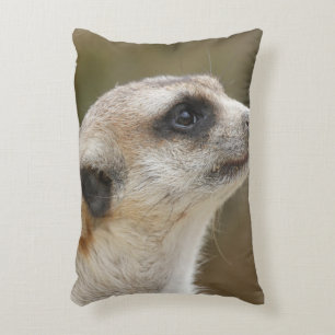 Cojín Decorativo Meerkat 028
