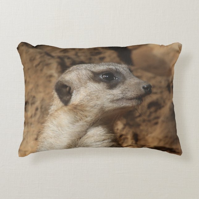Cojín Decorativo Meerkat 029 (Anverso)