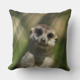 Cojín Decorativo Meerkat 034