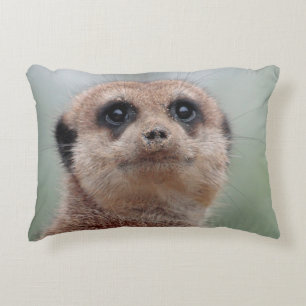 Cojín Decorativo Meerkat 036