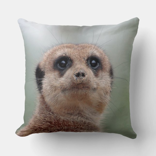 Cojín Decorativo Meerkat 036 (Anverso)