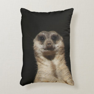 Cojín Decorativo Meerkat 040