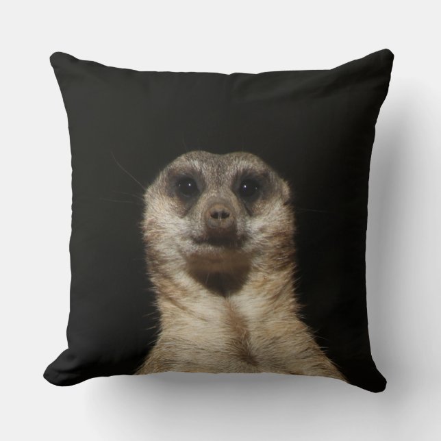 Cojín Decorativo Meerkat 040 (Anverso)