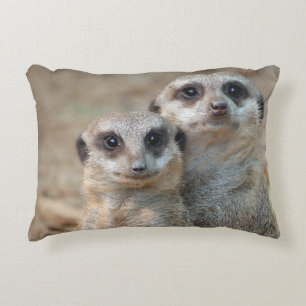 Cojín Decorativo Meerkat 047