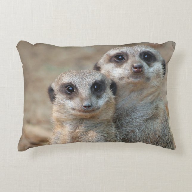 Cojín Decorativo Meerkat 047 (Anverso)
