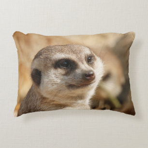Cojín Decorativo Meerkat 052