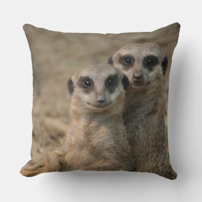Cojín Decorativo Meerkat 067 (Anverso)