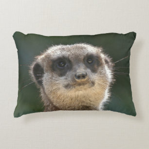 Cojín Decorativo Meerkat 068