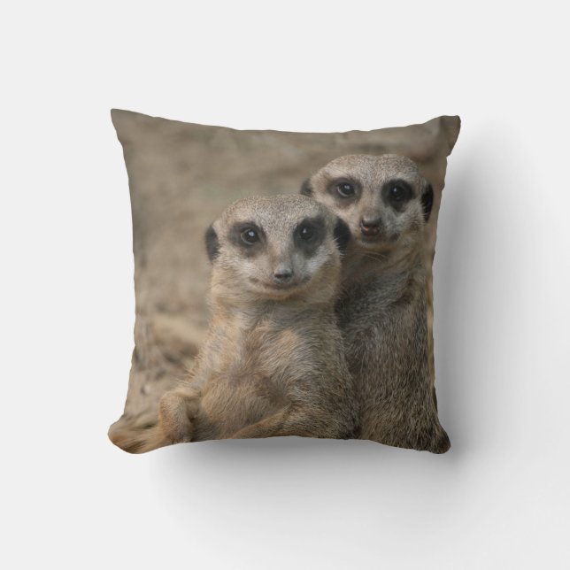 Cojín Decorativo Meerkat 090 (Anverso)