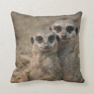 Cojín Decorativo Meerkat 090