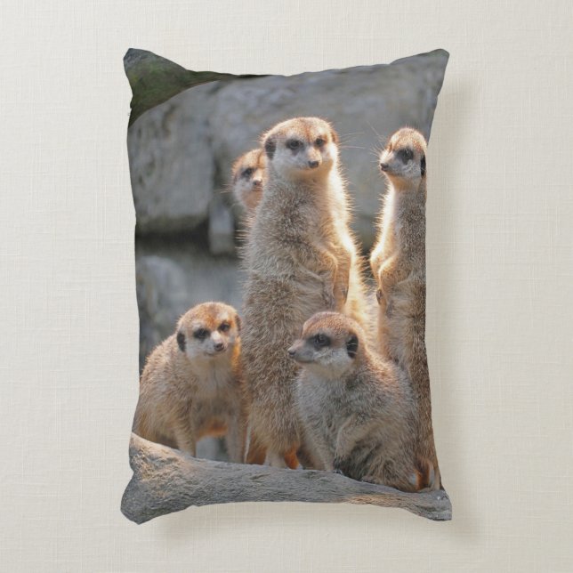 Cojín Decorativo Meerkat 110 (Frente (Vertical))