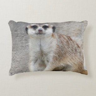 Cojín Decorativo Meerkat 134