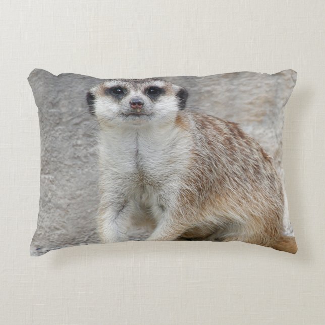 Cojín Decorativo Meerkat 134 (Anverso)
