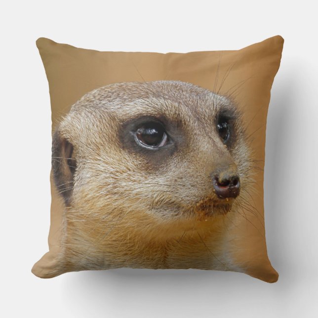 Cojín Decorativo Meerkat 154 (Anverso)