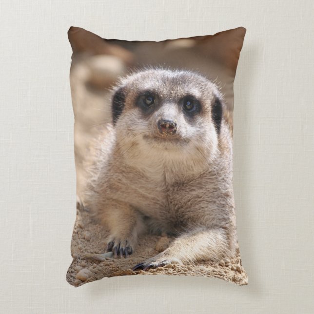 Cojín Decorativo Meerkat 174 (Frente (Vertical))