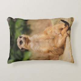 Cojín Decorativo Meerkat_2015_0110