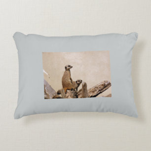 Cojín Decorativo Meerkat Personalizado Poliéster Acento Cushiro
