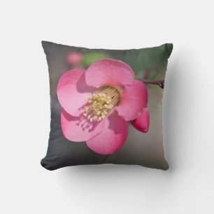 Cojín Decorativo Membrillo Florecido Rosa Perfecto