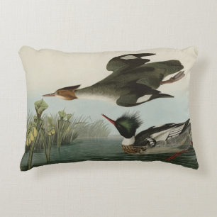 Cojín Decorativo Merganser de pecho rojo, los pájaros de América de