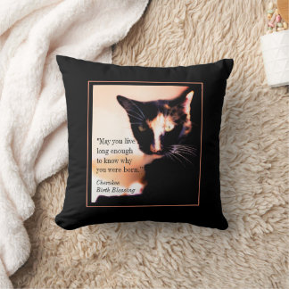 Cojín Decorativo Messenger de Cat