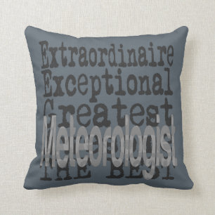 Cojín Decorativo Meteorólogo Extraordinario