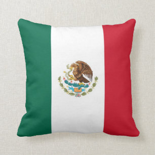 COJÍN DECORATIVO MÉXICO