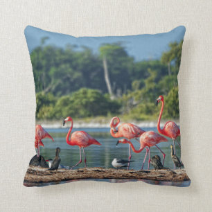 Cojín Decorativo México Río Lagartos