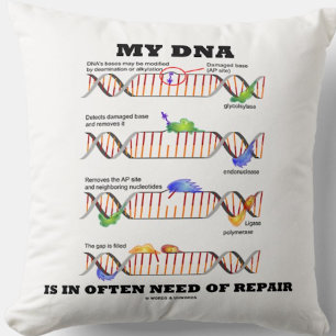 Cojín Decorativo Mi ADN a menudo necesita reparación Humor de ADN
