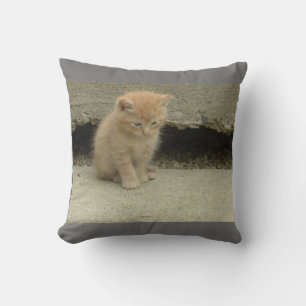Cojín Decorativo Mi adorable gatito naranja atigrado