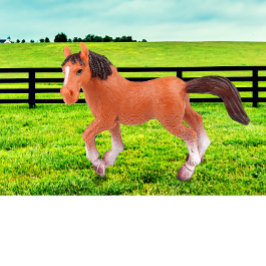 Cojín Decorativo Mi caballo favorito