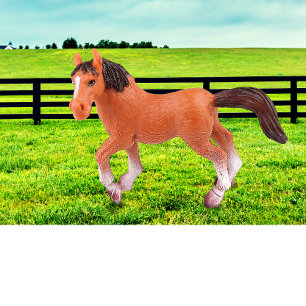 Cojín Decorativo Mi caballo favorito