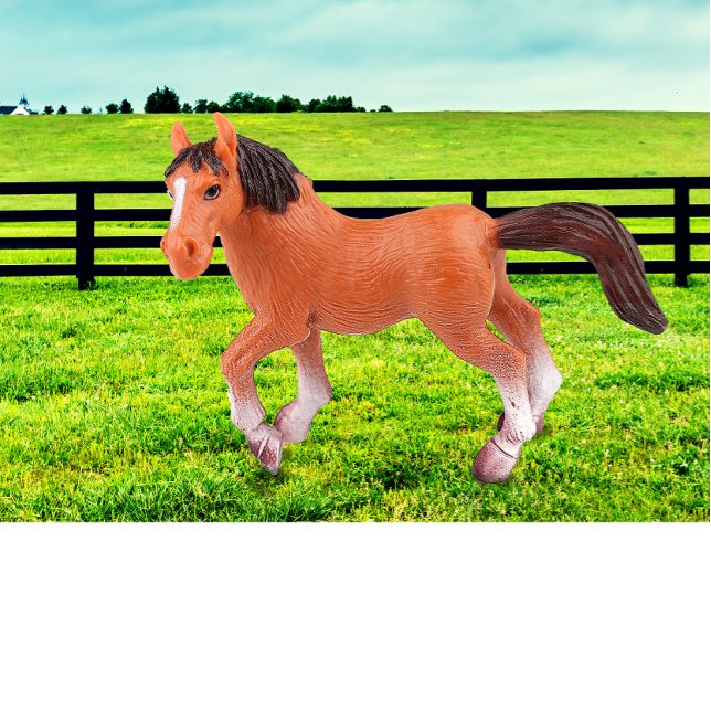 Cojín Decorativo Mi caballo favorito (Subido por el creador)