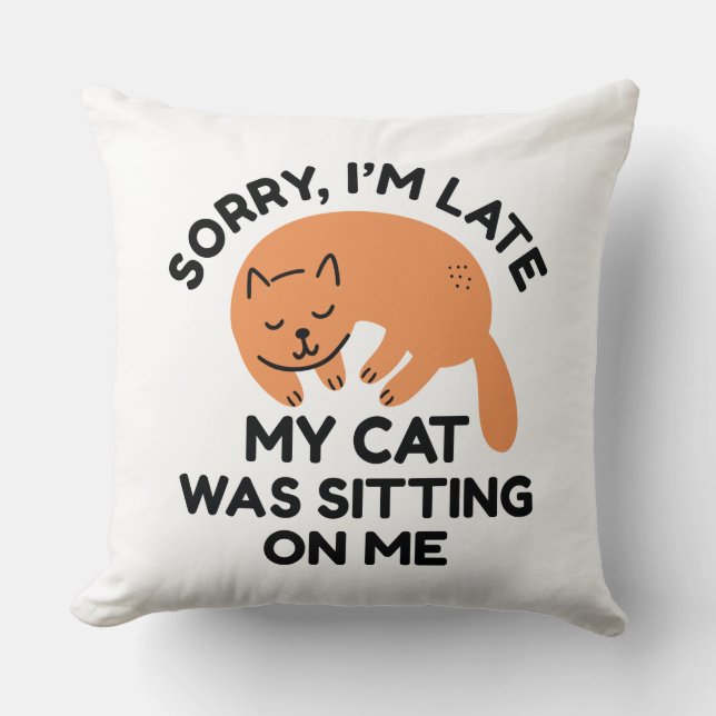 Cojín Decorativo Mi Gato Estaba Sentado Sobre Mí (Anverso)