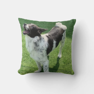 Cojín Decorativo Mi perro