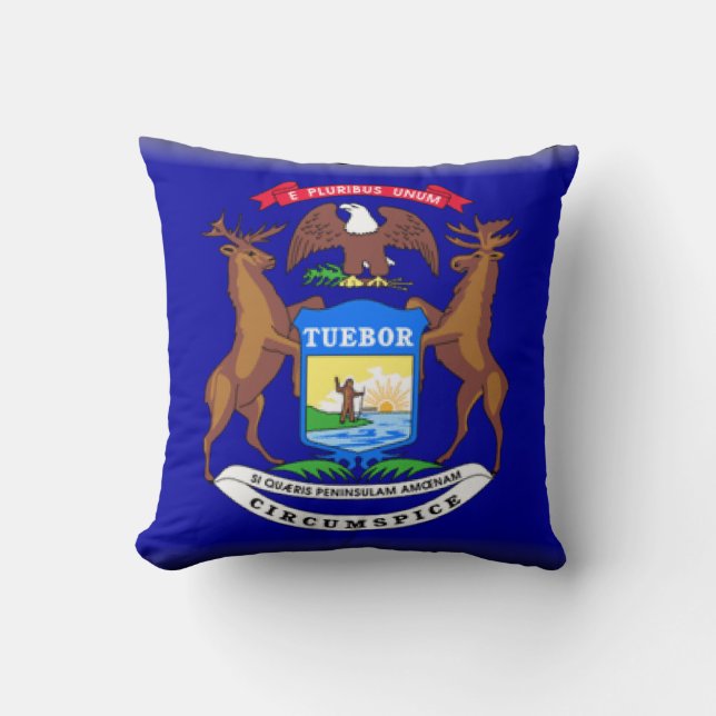 Cojín Decorativo Michigan (Anverso)