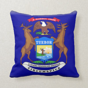 Cojín Decorativo Michigan