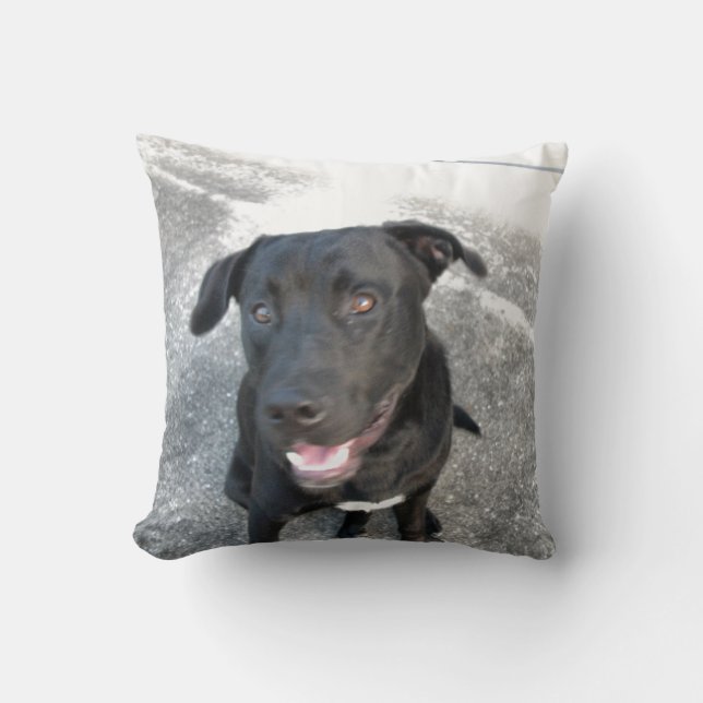 Cojín Decorativo Midnight el Labrador Negro Sonríe (Anverso)